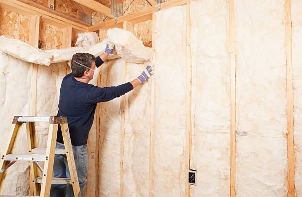 Best Attic Insulation Installation  in Beach City, TX